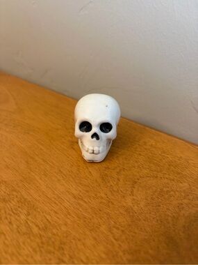 NWT Cracker Barrel Halloween Skull Shaker